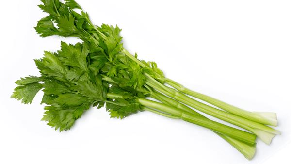 Apio Verde